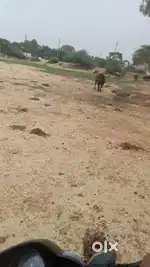 Sultanpur highway on road chaubisi gao haidargar