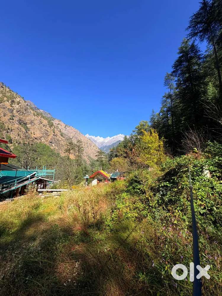 15 Biswa Plot for sale in Kasol