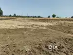 45 Acre Agriculture open land for sale
