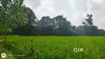 25 + 9 bigah ( 5.25 acers)