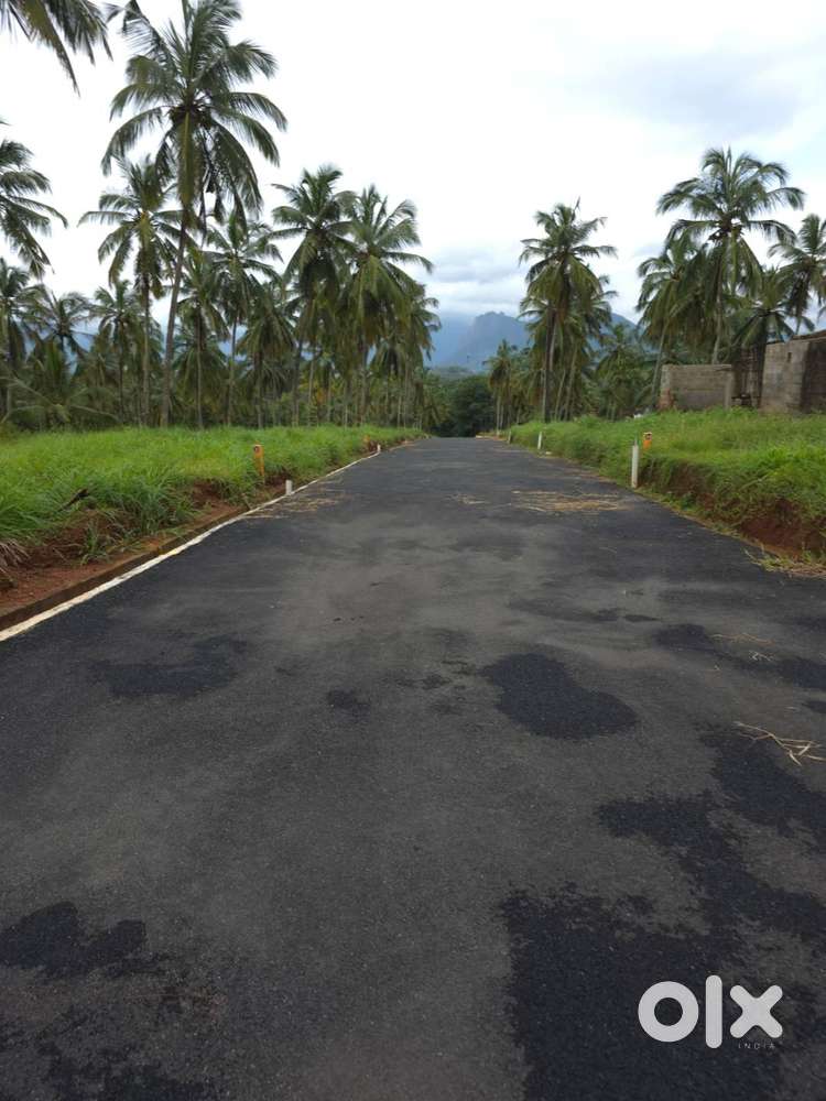 8 Cent House plot for sale in  Mannarkkad,Palakkad