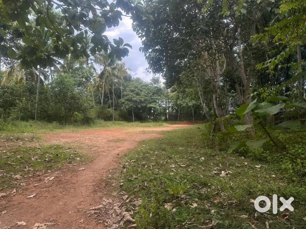 Property for sale in Maruthoor( 40 cent)