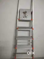 Aluminum Ladder