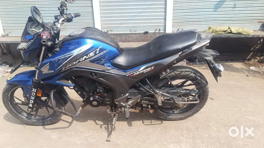 Hornet blue colourr