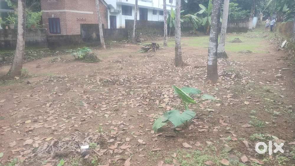 12 cent plot for sale in velloorkkonam