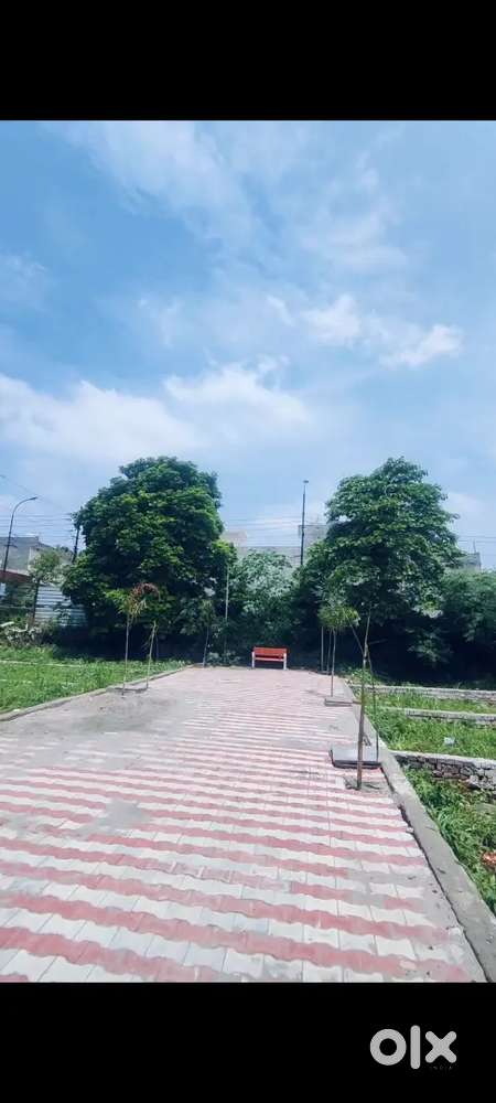 Plot on Emi time 1 year