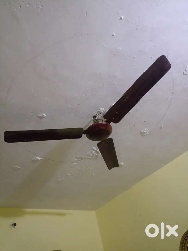 Pankha bikau hai