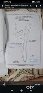 Orchid plot for urgent sale