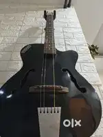 Guitar acoustic