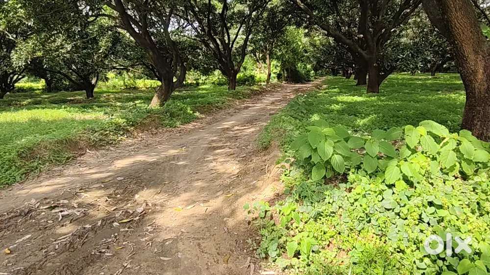 देश की सेवा करने वाले वीर जवानों के लिए नवरात्रि में ऑफर के साथ जमीन