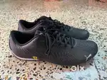 Puma Sports Shoe