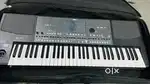 Korg pa600 touch keyboard very neatly used with indian tones & rythems