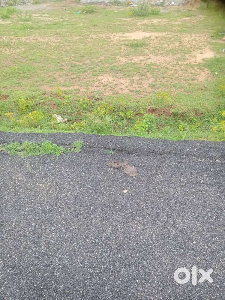 40 cent, 30 lakh per cent.