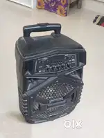 Intex Party speaker