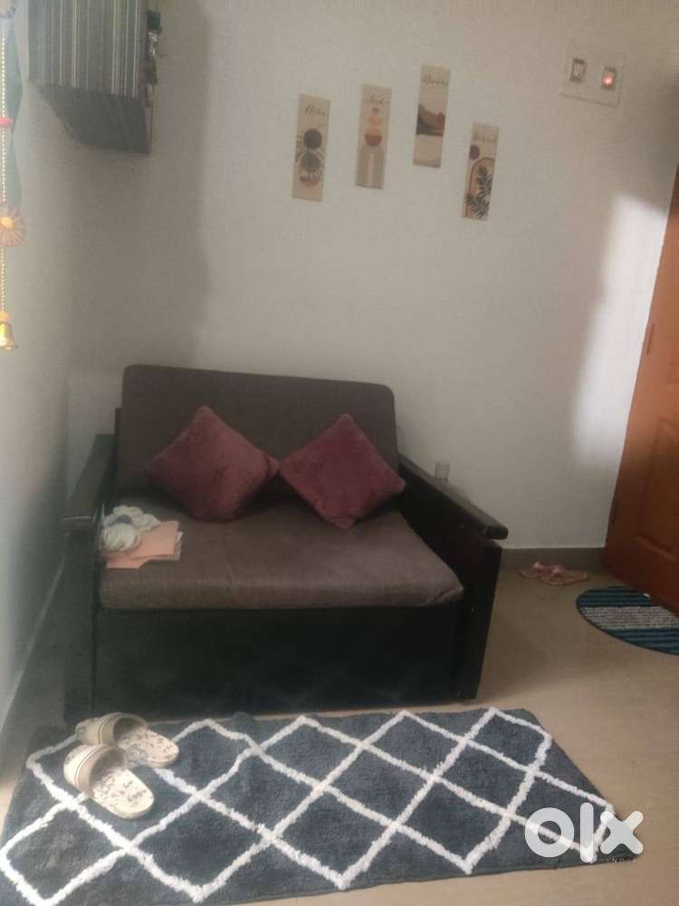 wooden 2 seater sofa cum bed