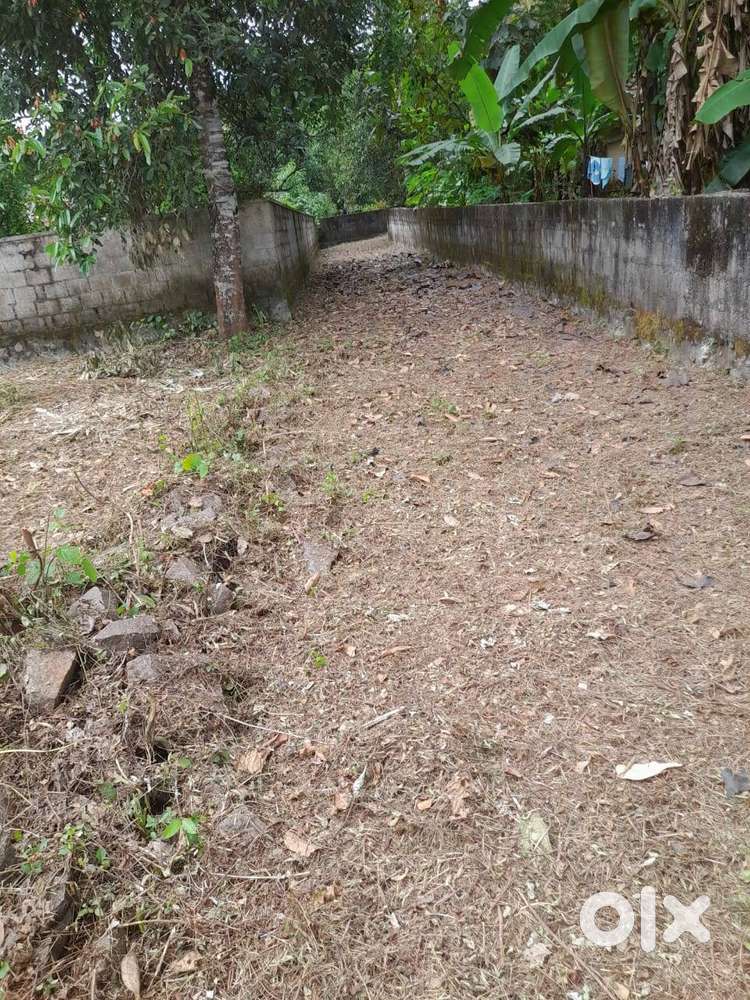 Residence plot for sale at kozhencherry
