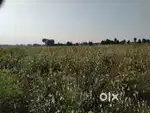 2 Acres 28 cents Registration Agriculture land for sale in Tiruvuru.