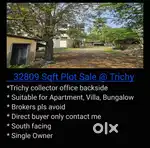 Trichy-Rajacolony (Kumulithoppu) plot sale
