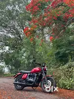 Jawa 42 for sale