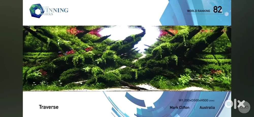 Aquarium store keeper required