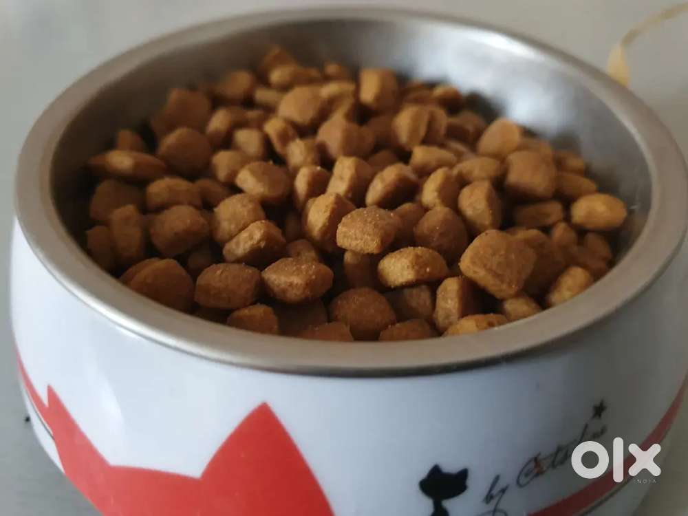 Cat food seller