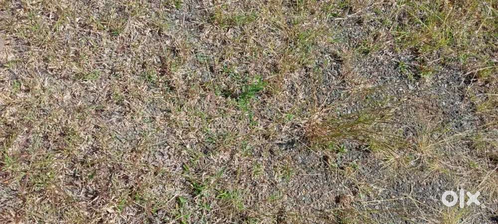 KHB plot for sale in Gadag