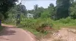House plot for sale at valiyanur