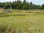 Agricultural land / agriculture land