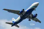 Airport job, airline ground staff
