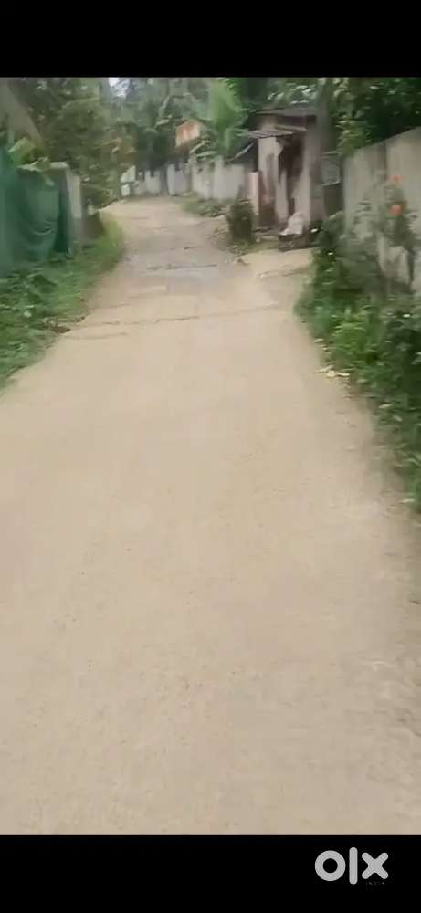 50 cent 25cent house or resort plot near rose park kumily 1 st mile