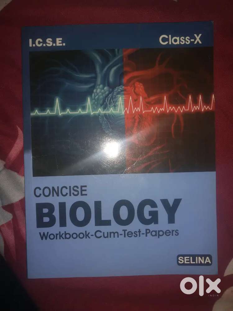 Class 10 books