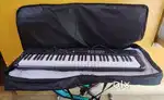 Casiotone Ct-S200