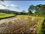 This land ring road side