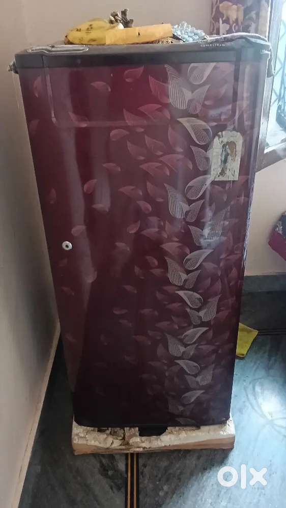 Refrigerator single door
