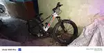 Samstar 2ft2m