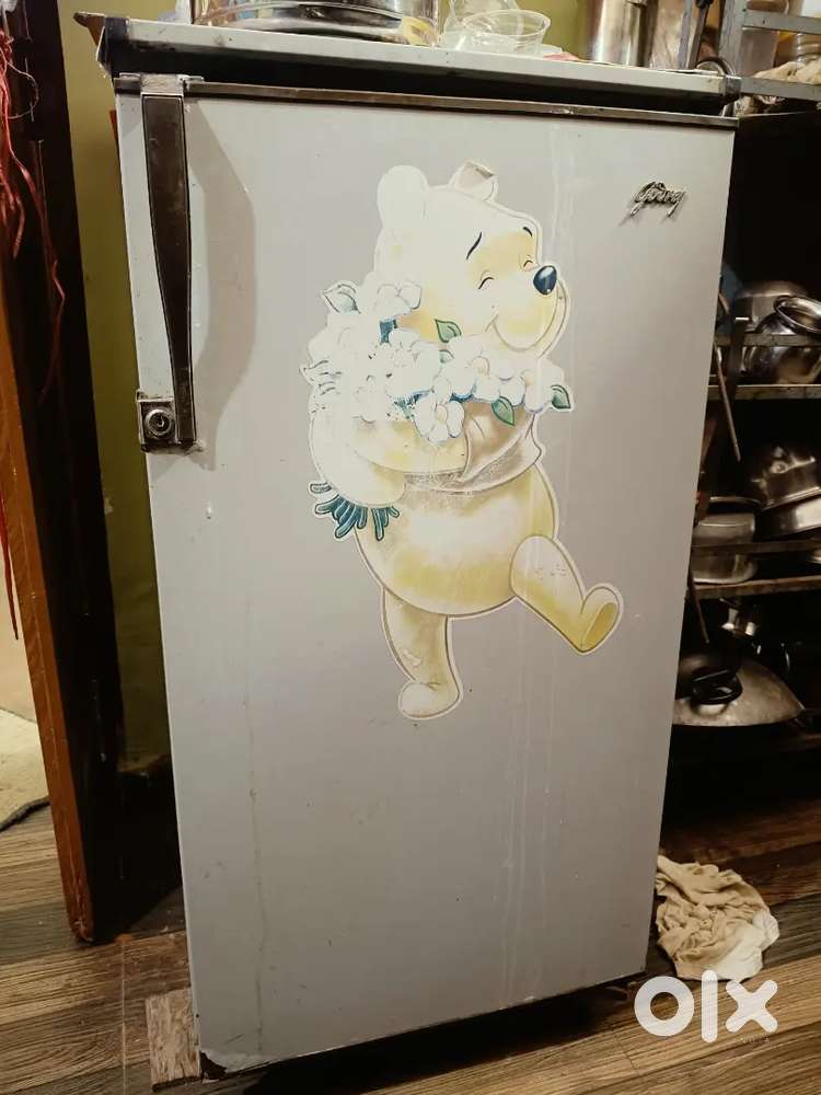 Godrej Fridge freez