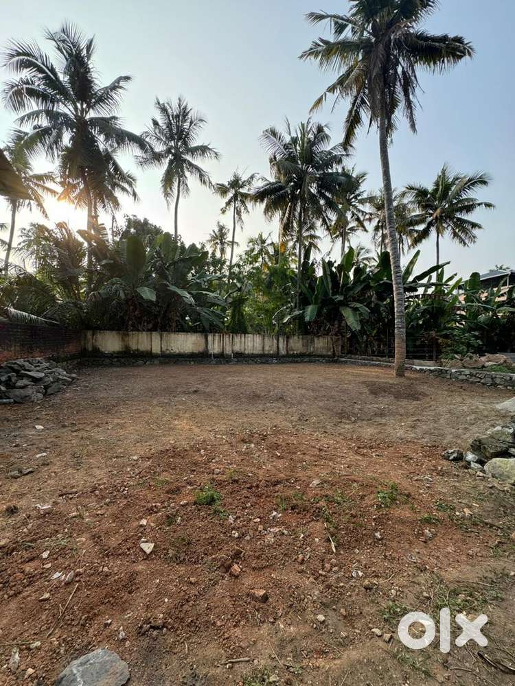 FOR SALE 11 CENT RESIDENTIAL PLOT IN ULLOOR MEDICAL COLLEGE TRIVANDRUM