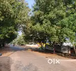 Rent- Semi furnished 3 BHK house with Car parking and Garden