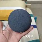 Google Nest Mini
