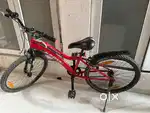 Spider Kross bicycle