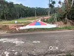 50 cents of land for sale near Thumpamon, Pathanamthitta