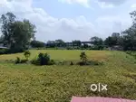 9.25 beegha Farm land for sale