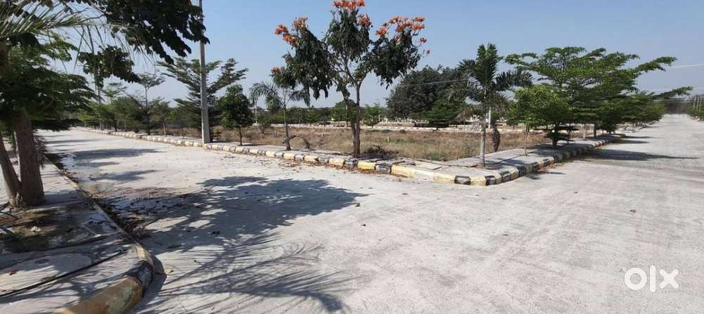 Sunrise City – Premium Plots with Great Amenities &High Appreciation