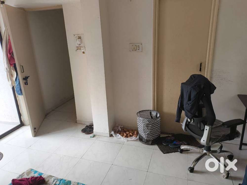 Immediately needed flatmates