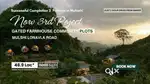 MULSHI DAM VIEWS FARM HOUSE PLOT FOR SALE