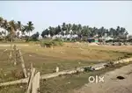 Fk palem site