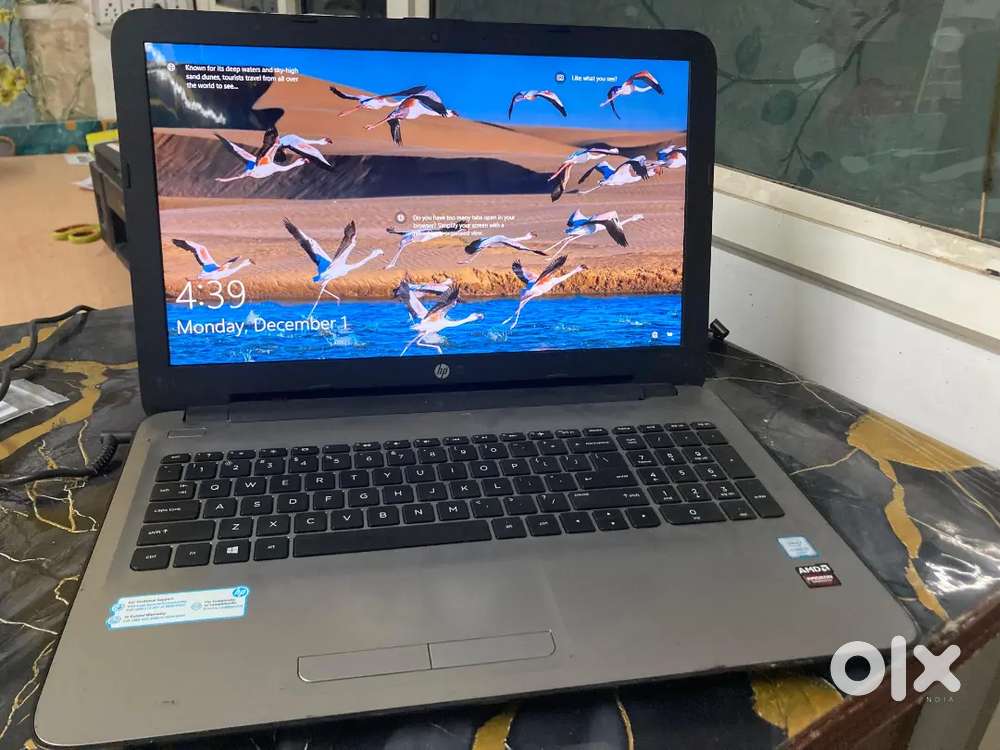 Hp compny full compny condition