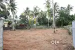 Best and beautiful land,well water lorry site ( കരപുരയിടം)
