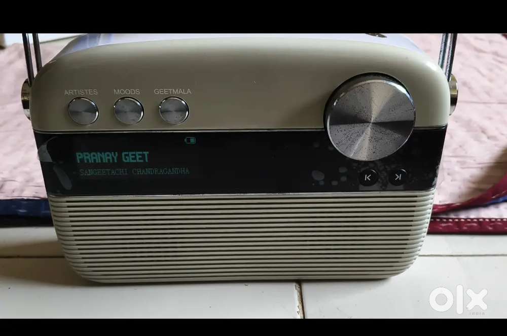 Saregama Carvaan portable Hindi & Marathi
