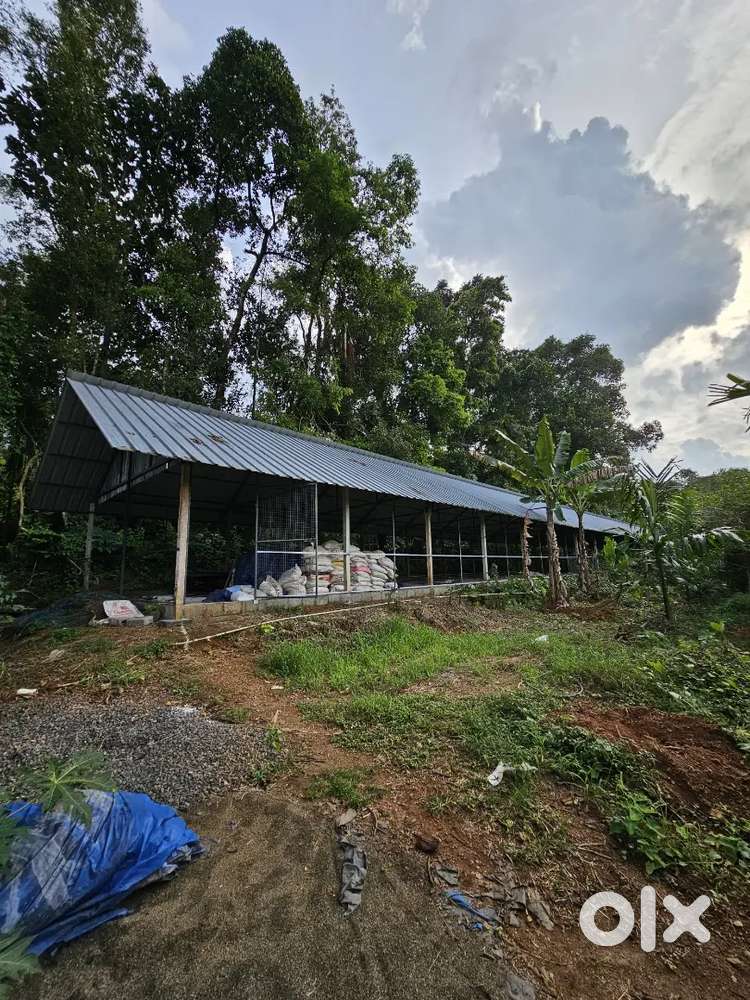 Shed/Godown for rent
